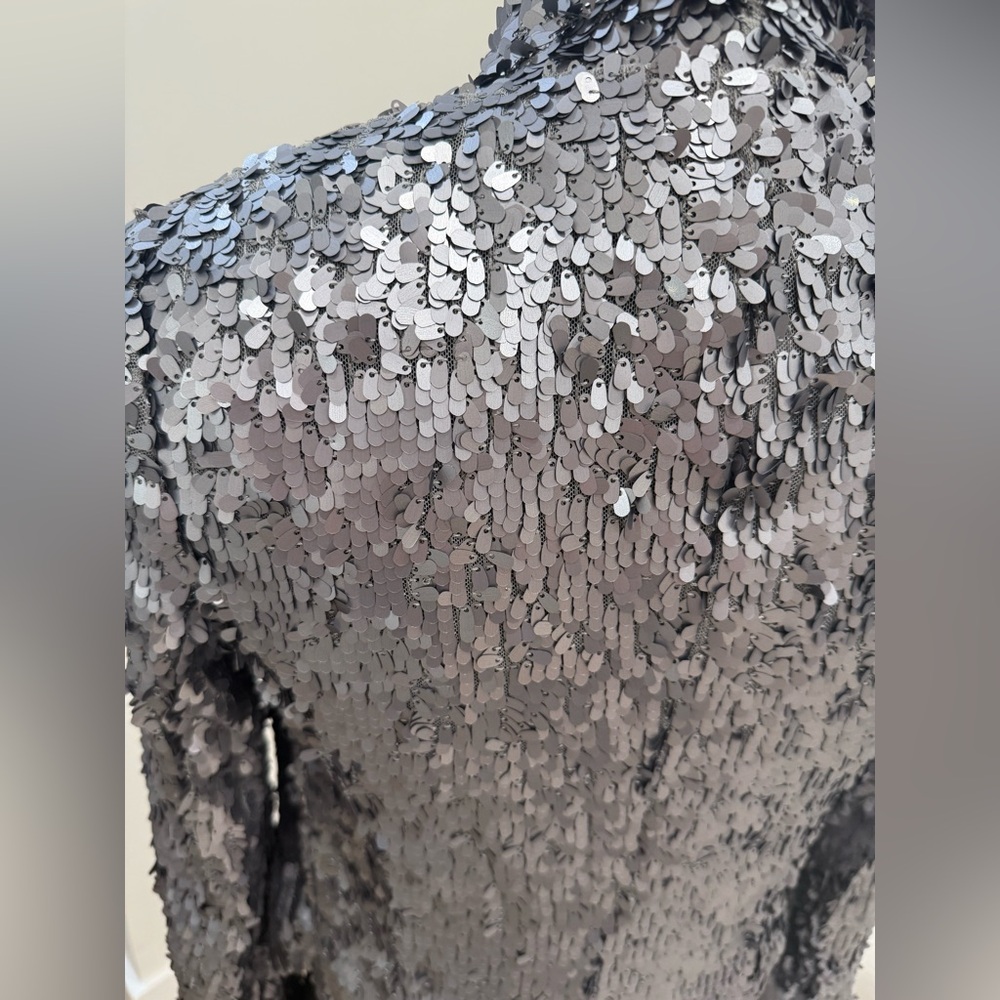 Silver Sequin Blazer- 7 For All Mankind - Picture 4 of 5